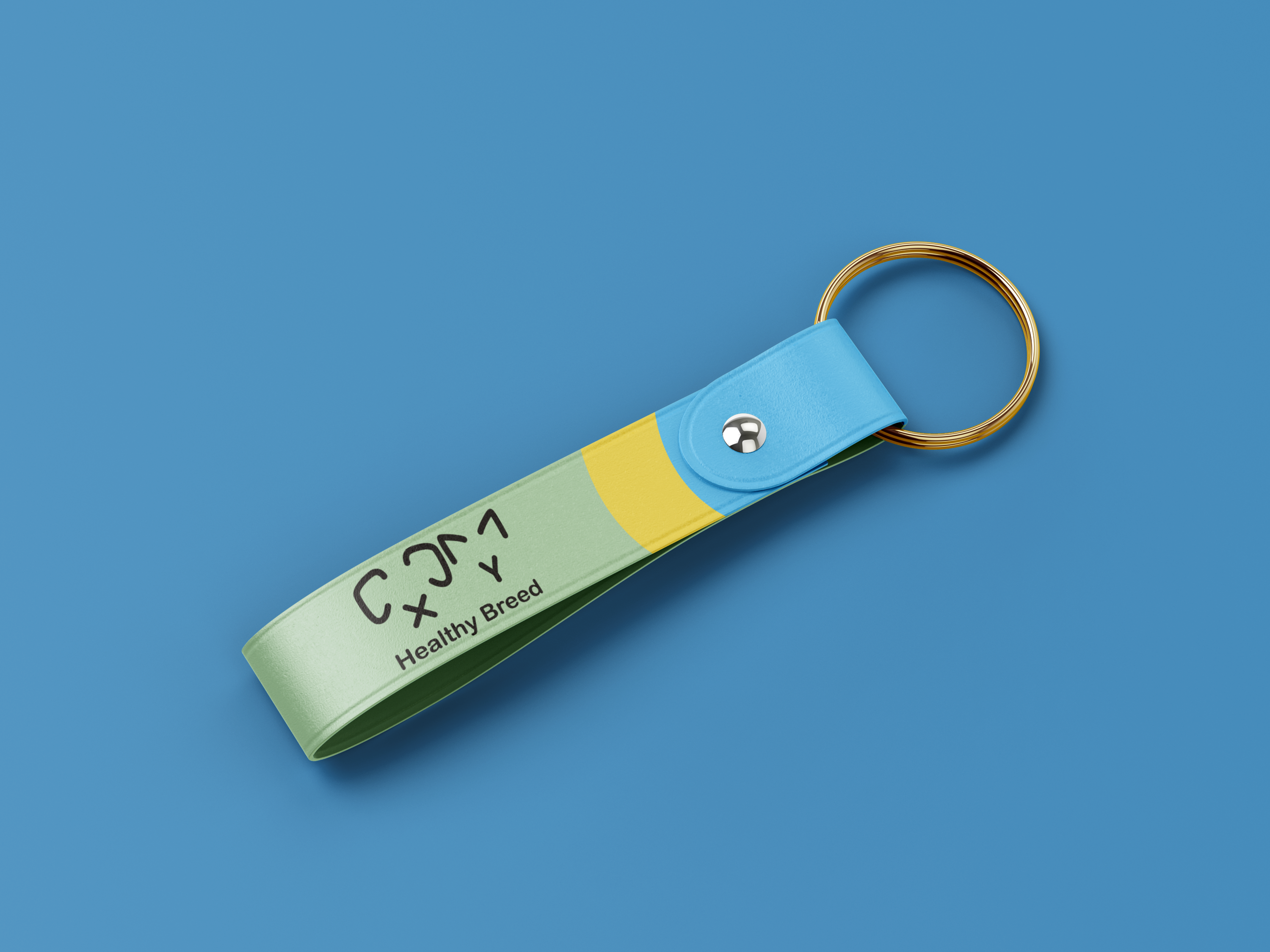 healthy breed keychain